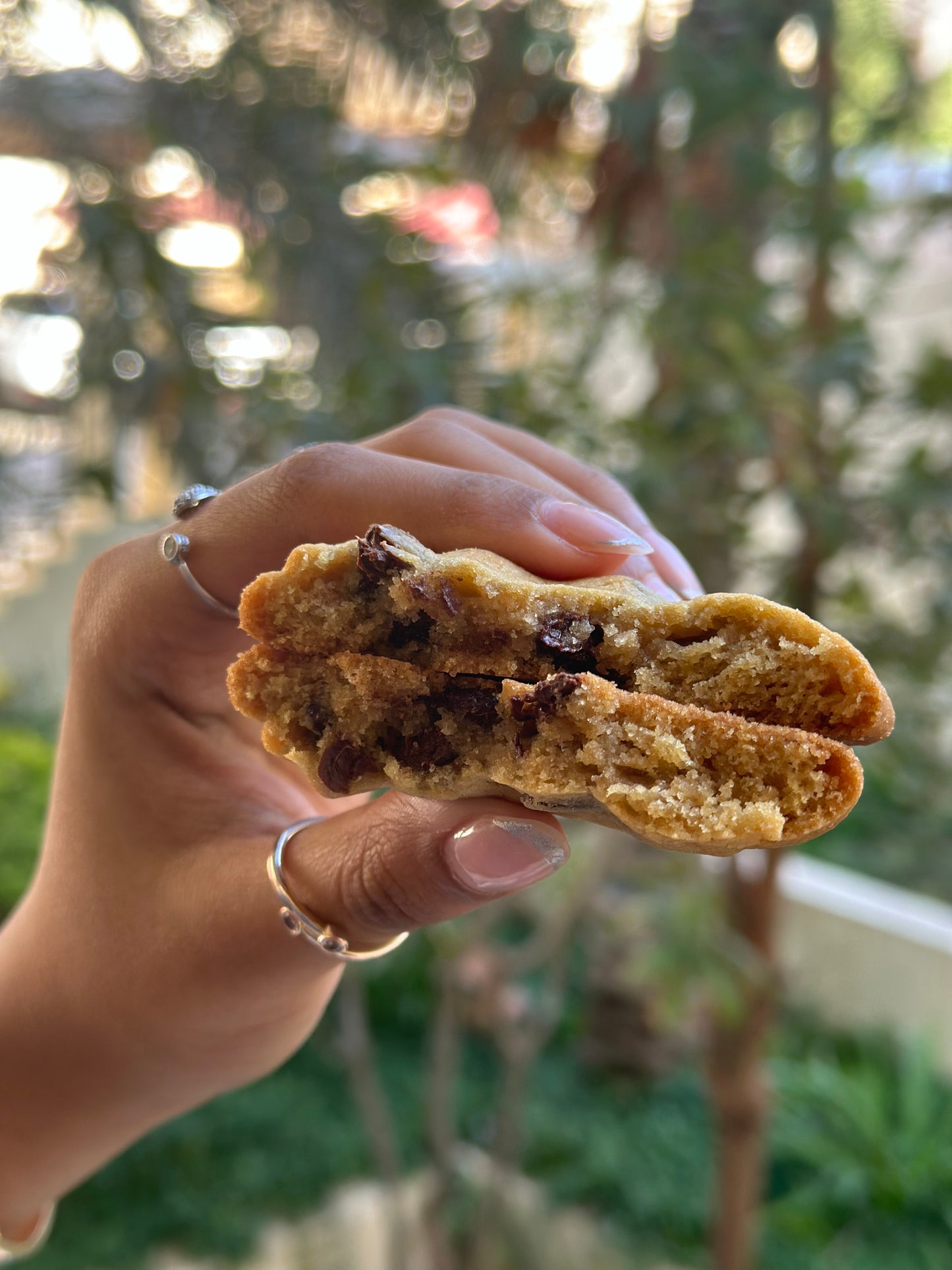 Chocolate Chip Cookies