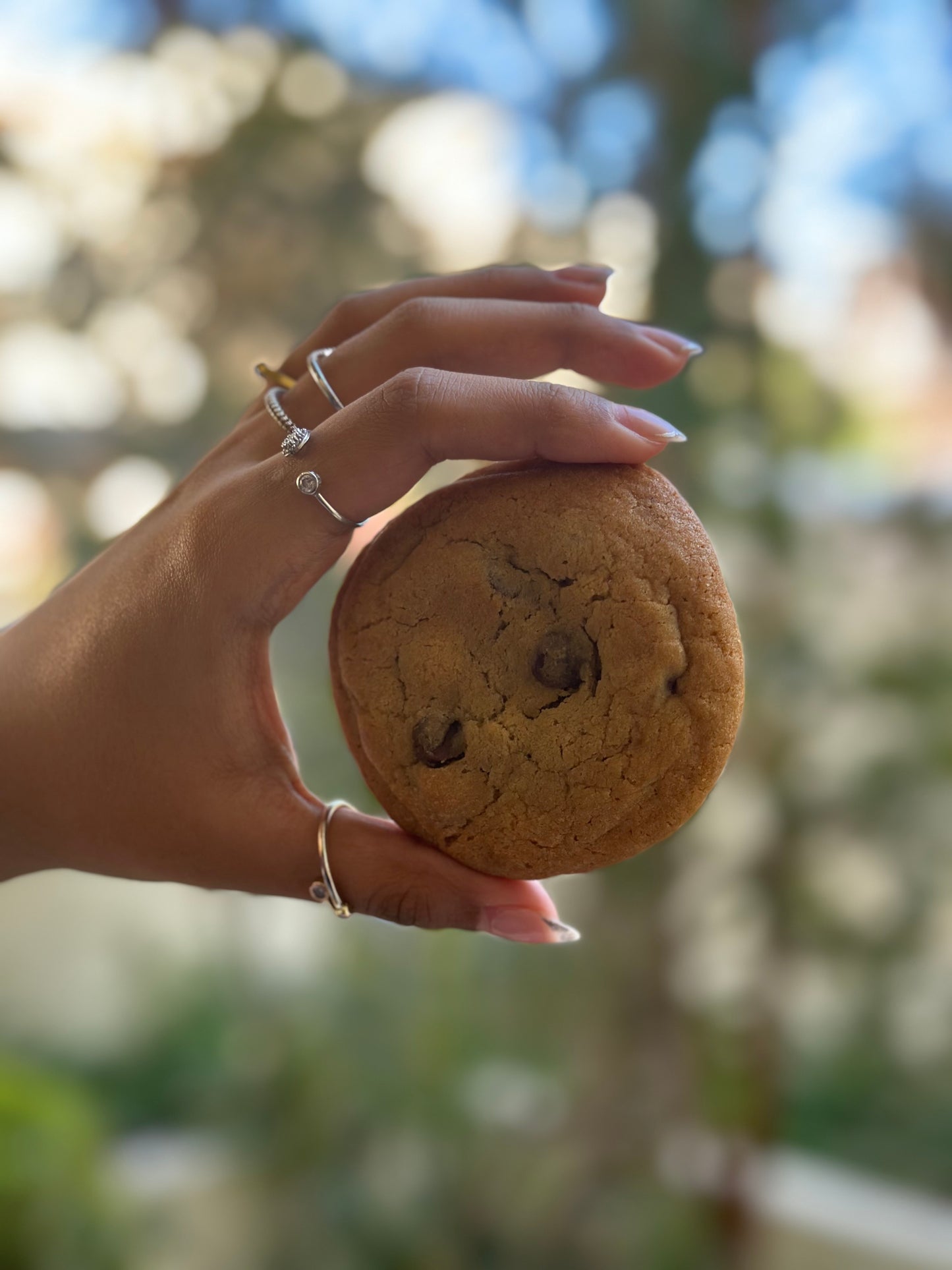 Chocolate Chip Cookies